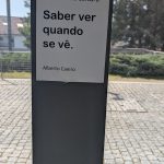 PXL_20260323_104754943